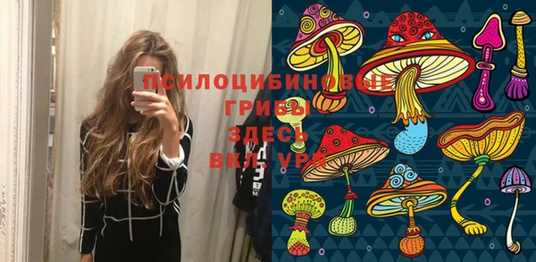 марки lsd Краснослободск