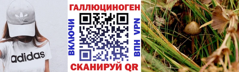 Галлюциногенные грибы мицелий  Туапсе 