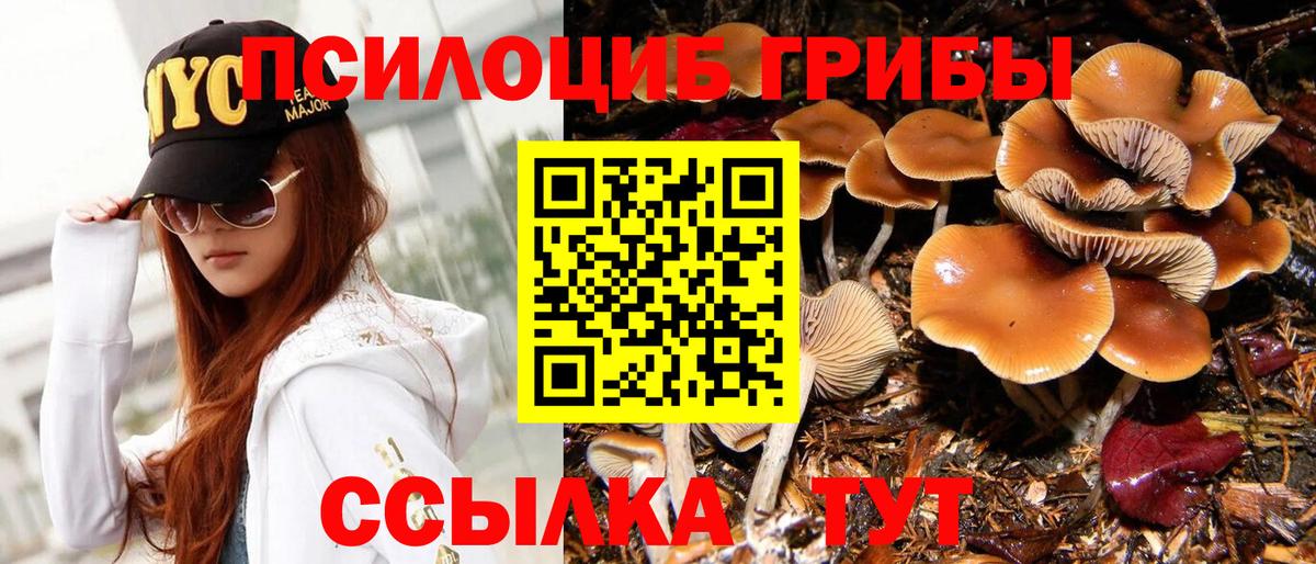 Псилоцибиновые грибы прущие грибы  Вход с VPN  Туапсе 